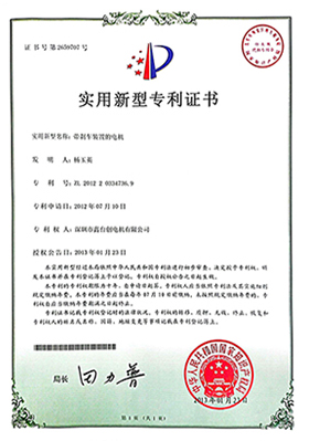 带刹车装置电机